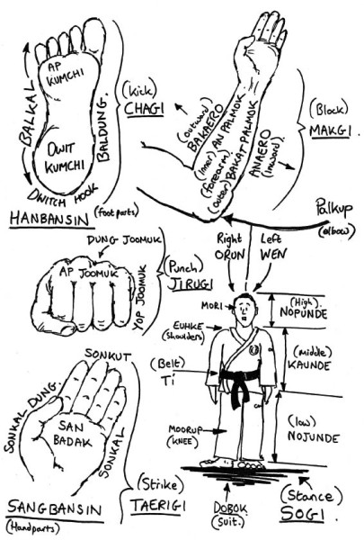 Korean Terminology Hand and foot parts – Korean names