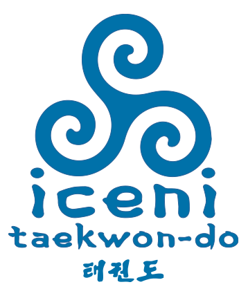learn Traditional Taekwon-do @ ICENI Taekwon-do