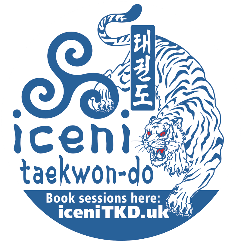 iceni taekwondo stickers