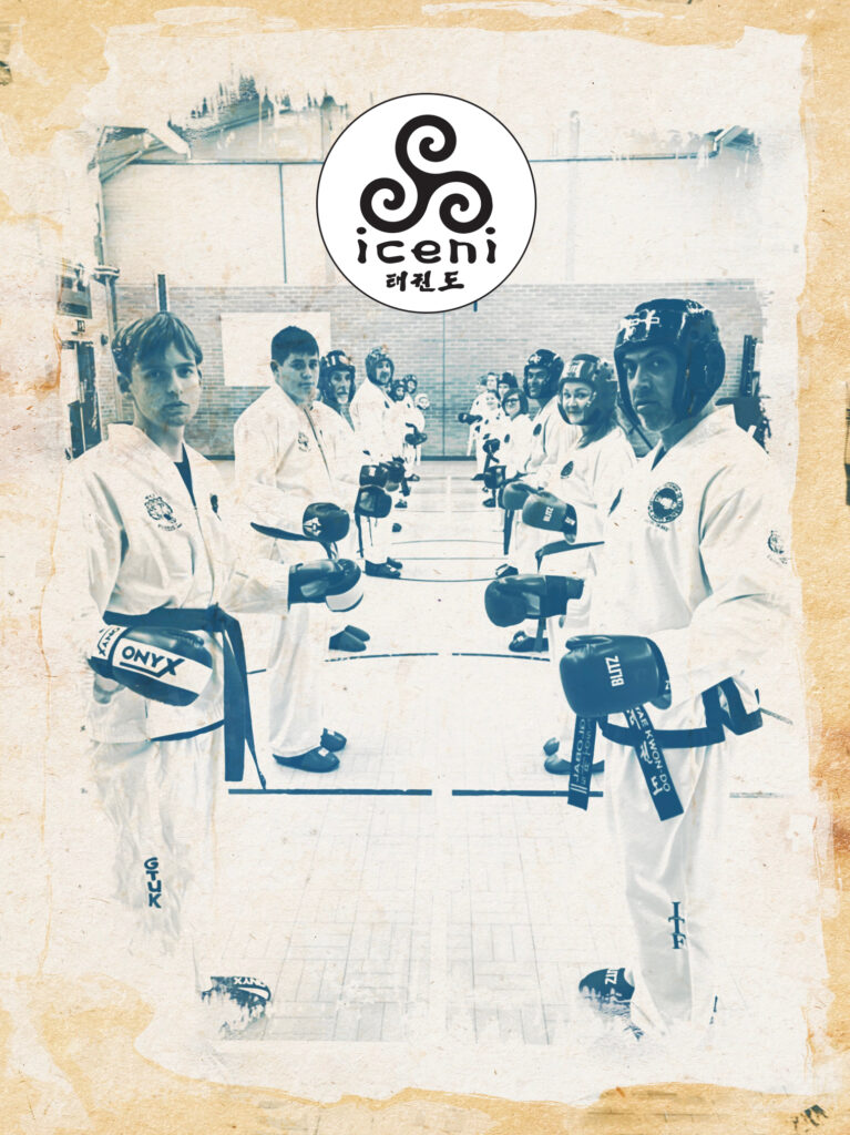 Teaching Taekwon-do