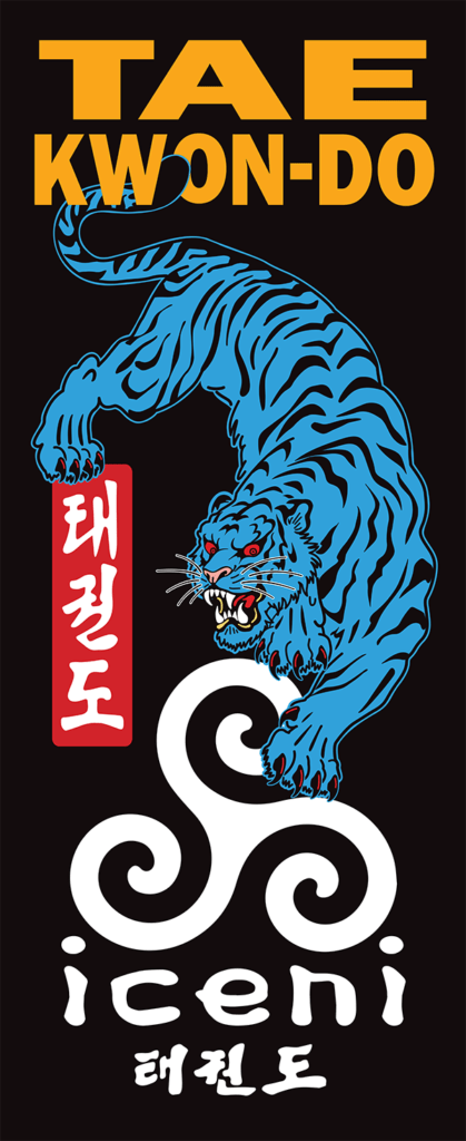 ICENI Taekwon-do banner