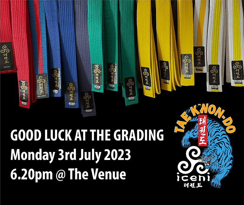 Taekwondo Grading good luck JULY 23