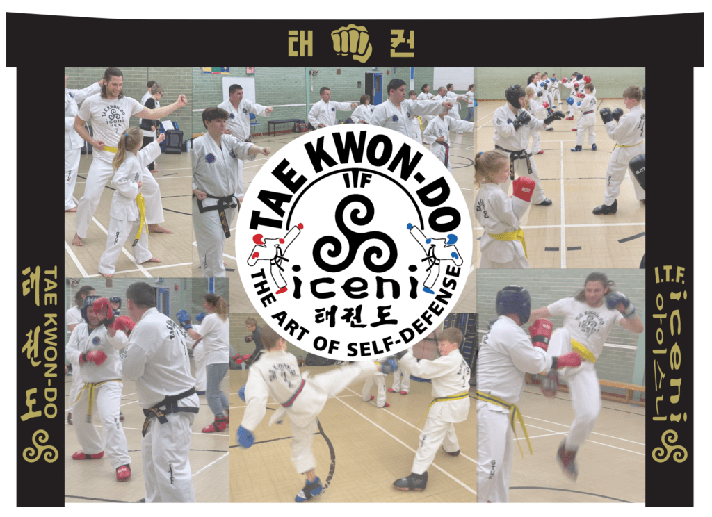ICENI Taekwon-do's Independent ITF journey began with big attendances at our Monday and Thursday classes last week. 