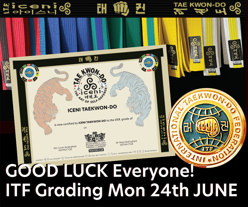 GOOD LUCK Everyone for the ITF Grading on Monday. There is nothing to worry about, it's all part of your progress to Black Belt!
