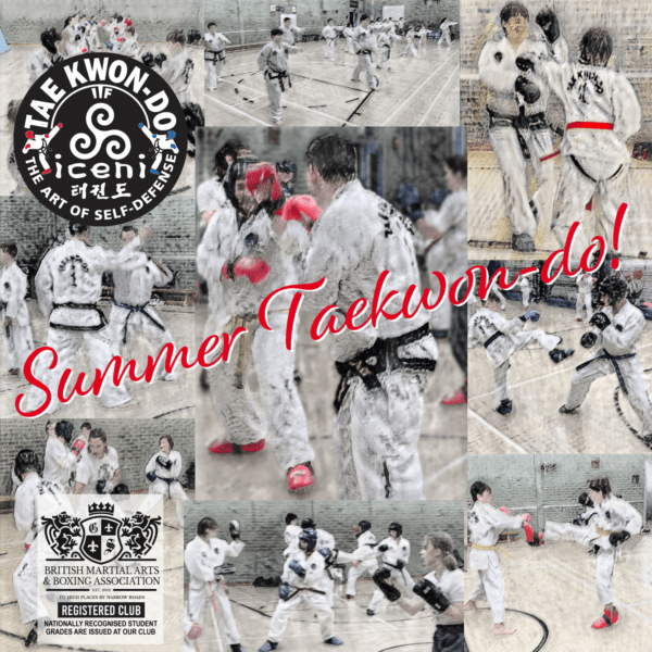 Our Banner is up and Full Training continues throughout the Summer at ICENI Taekwon-do!